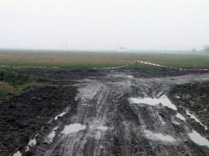 crima-lunca-muresului-noiembrie-2016