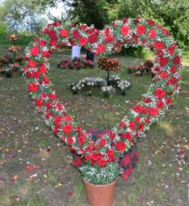 ziua rozelor Ciumbrud